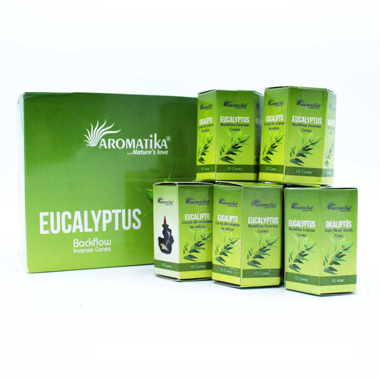 Masala Backflow Incense pack of 10 - Eucalyptus